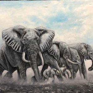 Elephant Odyssey