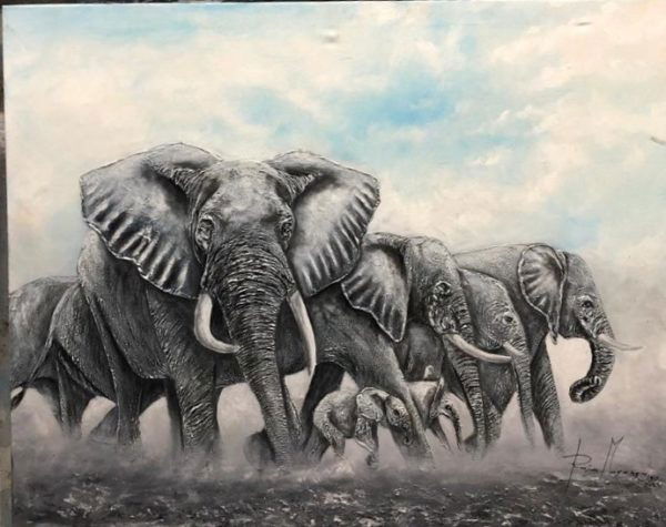 Elephant Odyssey